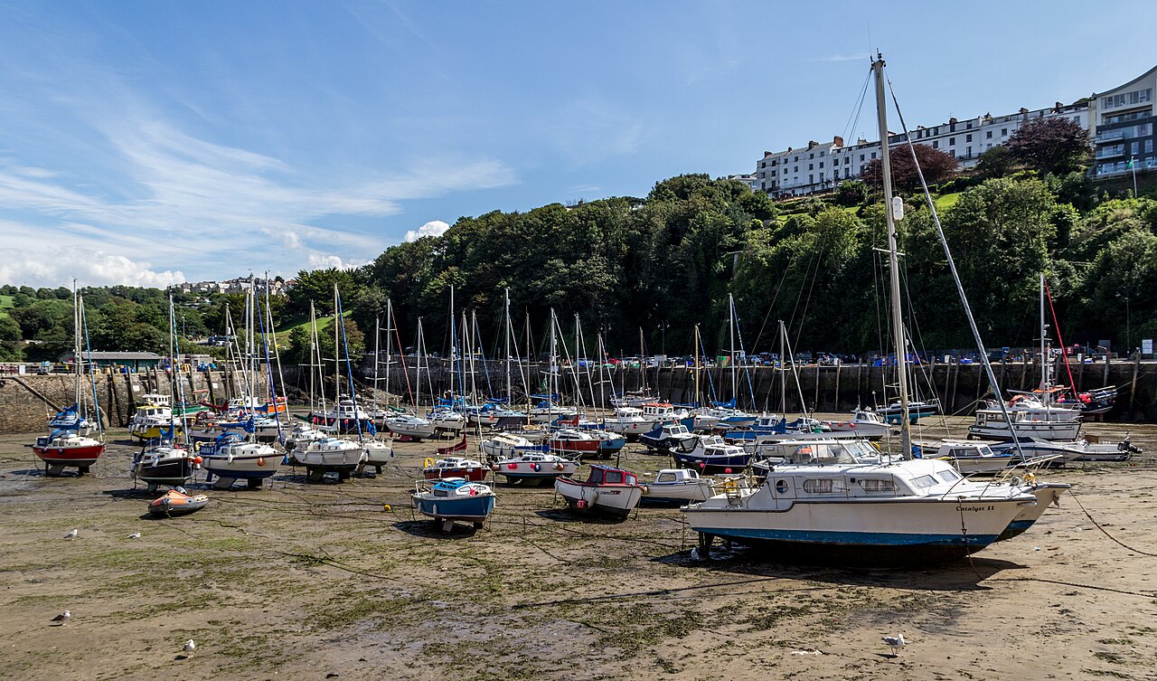 New community woodland on the way for Ilfracombe